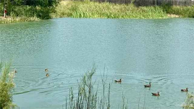 $1,175 | 700 Onyx Drive, Unit A, Weslaco, TX 78599