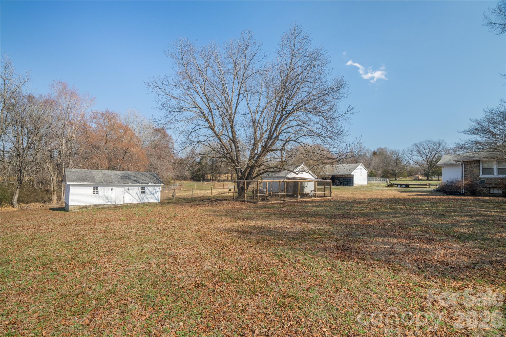 6507 Frieden Church Road Gibsonville, NC 27249 - Photo 13 of 45 a view of dirt yard with a large tree