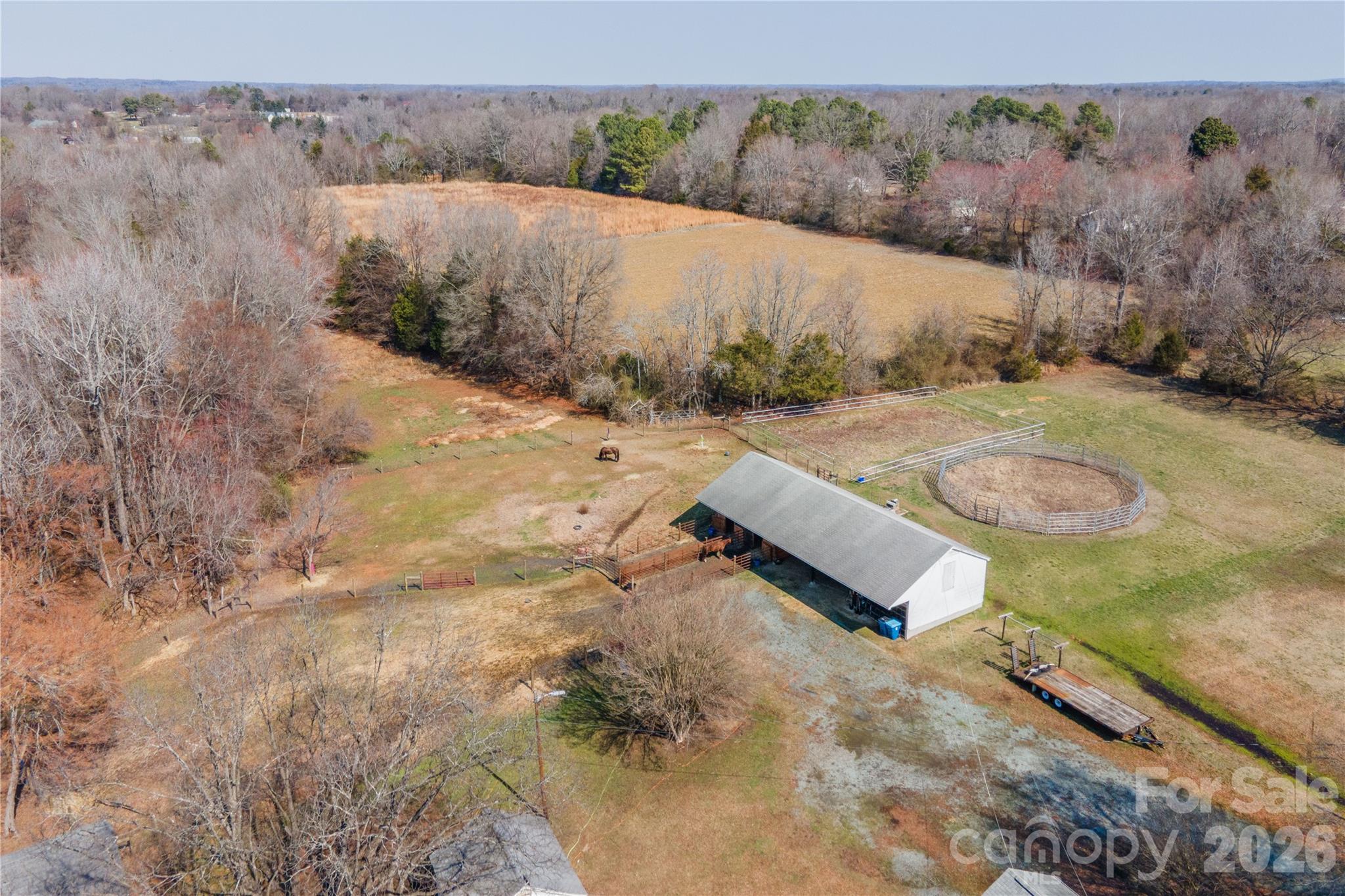 6507 Frieden Church Road Gibsonville, NC 27249 - Photo 5 of 45 a view of a dry yard with large trees