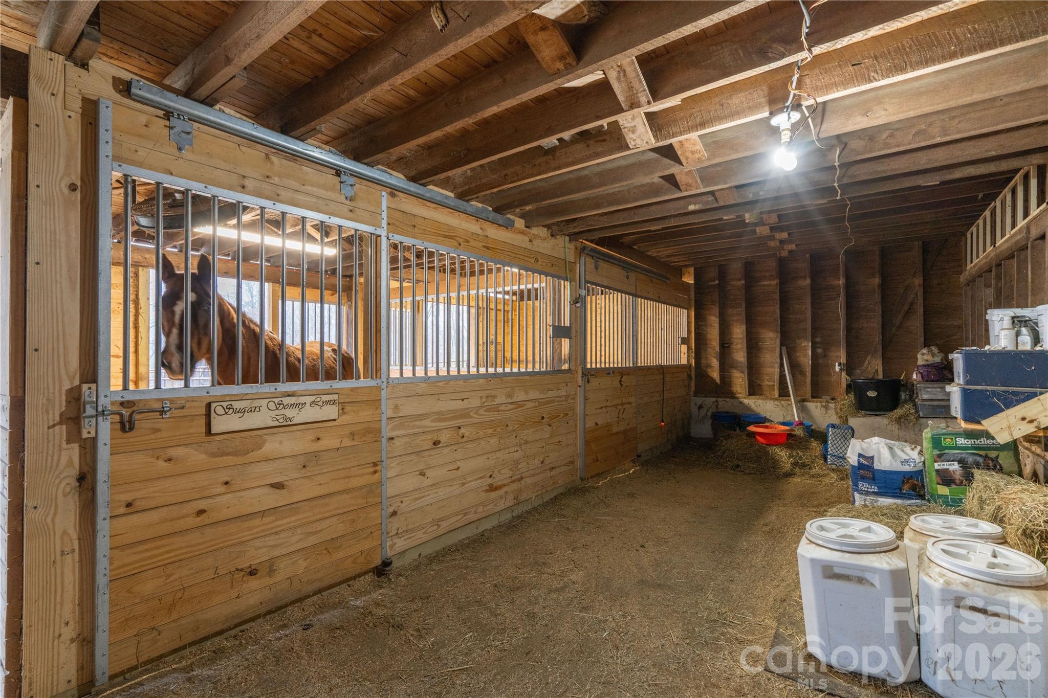 6507 Frieden Church Road Gibsonville, NC 27249 - Photo 9 of 45 a view of room with window