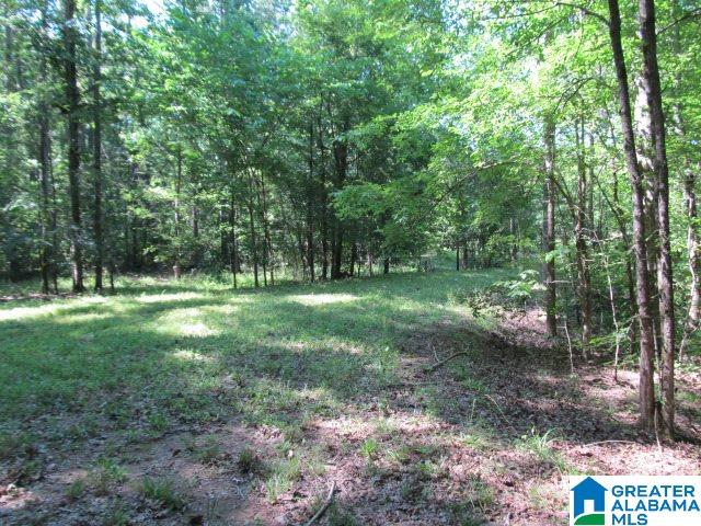 0 Choctaw Trail, Unit 10 Hayden, AL 35079 - Photo 16 of 24