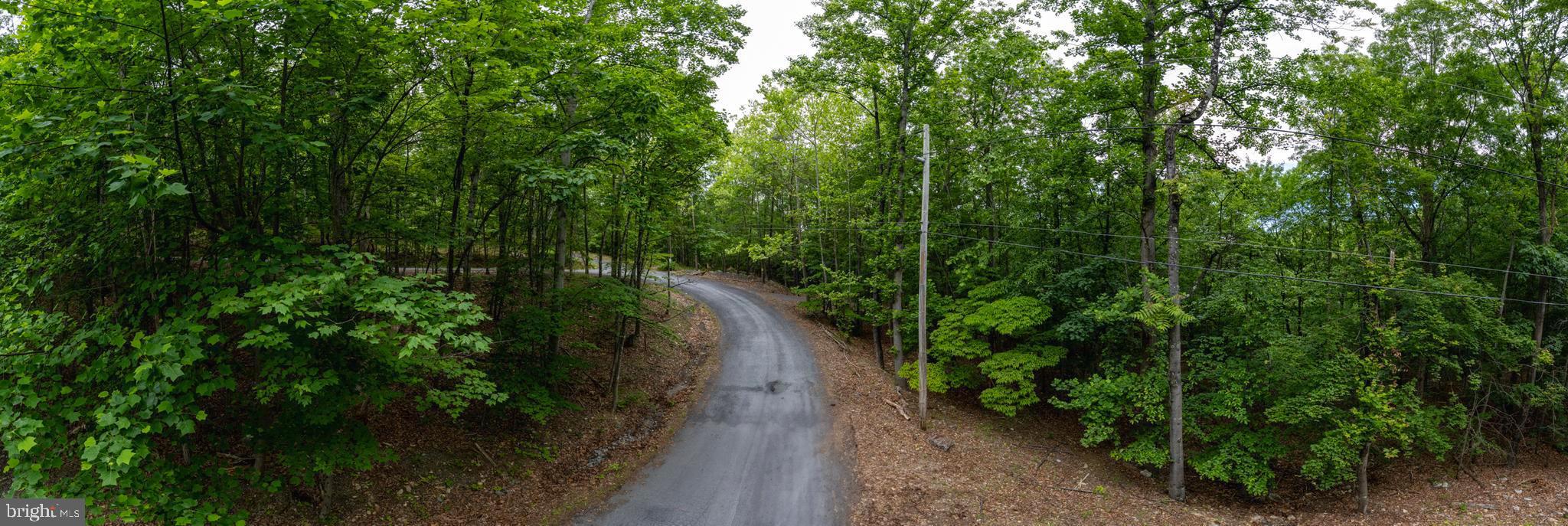 Lot 65 Brandy Road Front Royal, VA 22630 - Photo 12 of 21 Brandy Road lined with mature trees