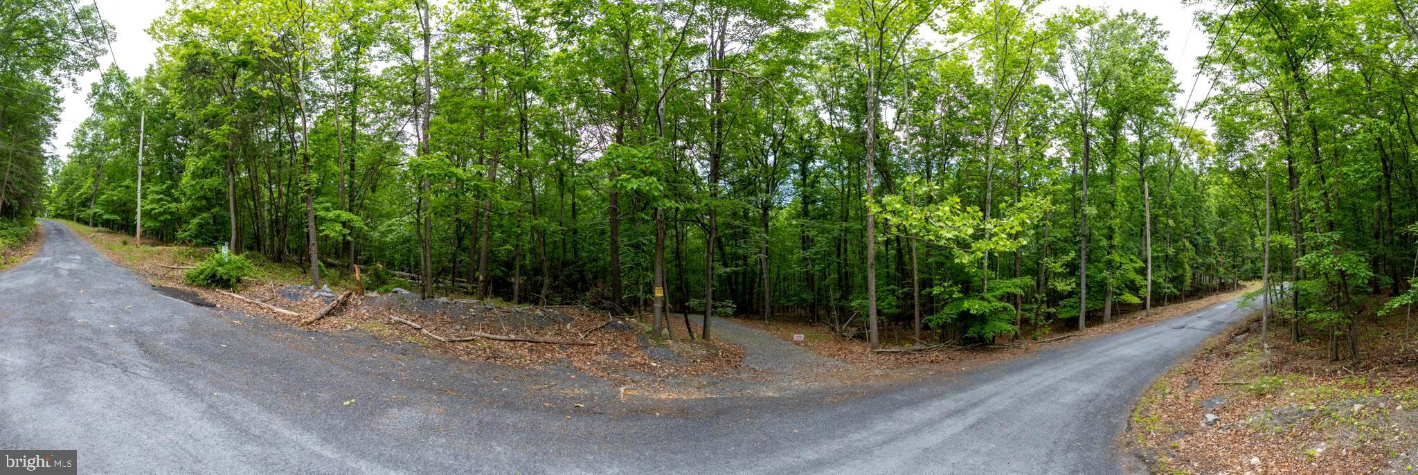 Lot 65 Brandy Road Front Royal, VA 22630 - Photo 13 of 21 Baldwin Rd comes into Brandy Rd