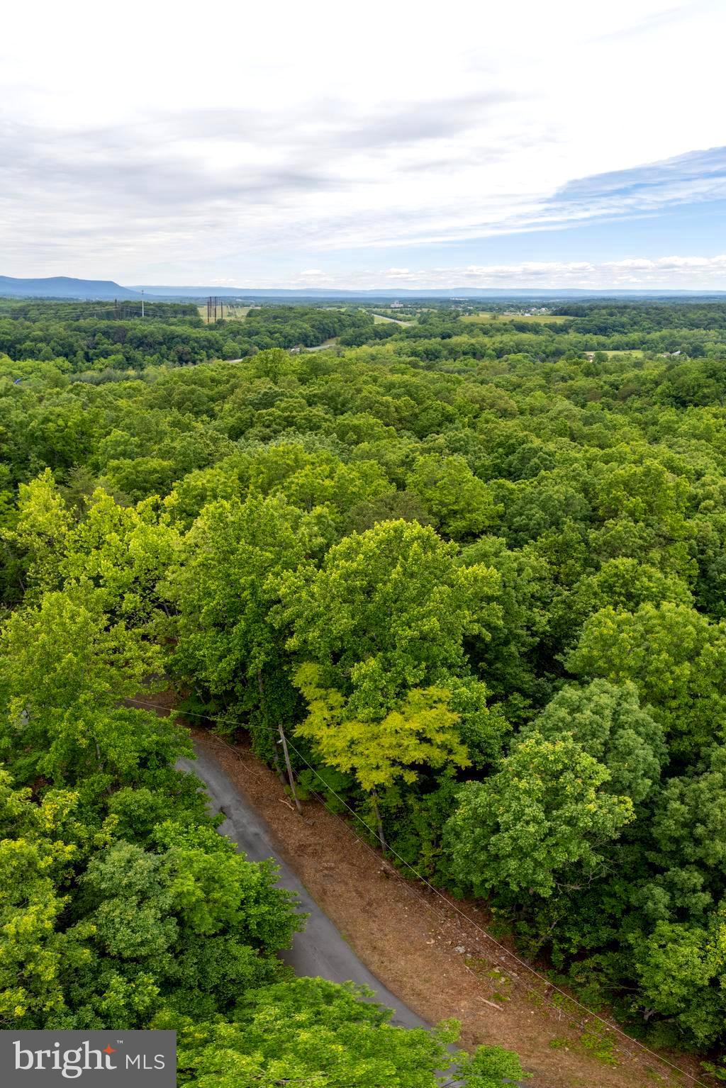 Lot 65 Brandy Road Front Royal, VA 22630 - Photo 18 of 21 Aerial view
