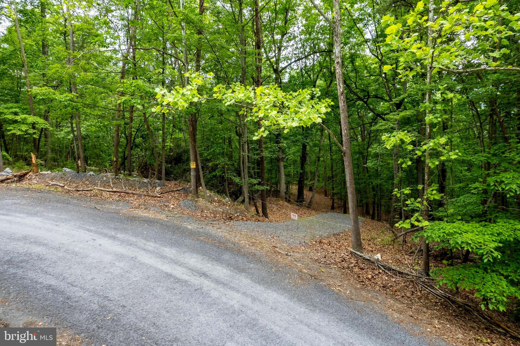 Lot 65 Brandy Road Front Royal, VA 22630 - Photo 20 of 21 Different View from Brandy Rd.