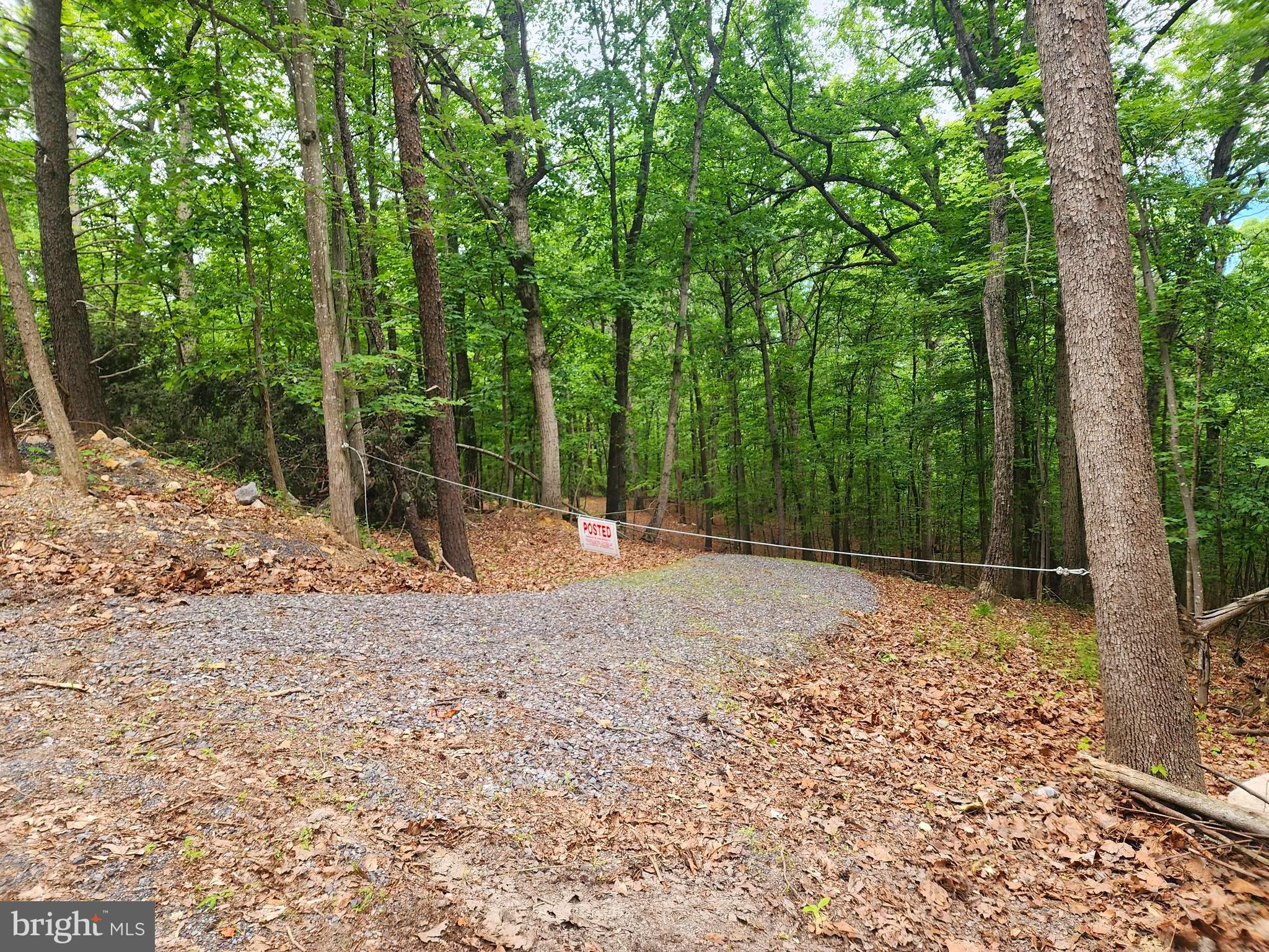 Entrance to Lot #65 Brandy Rd.