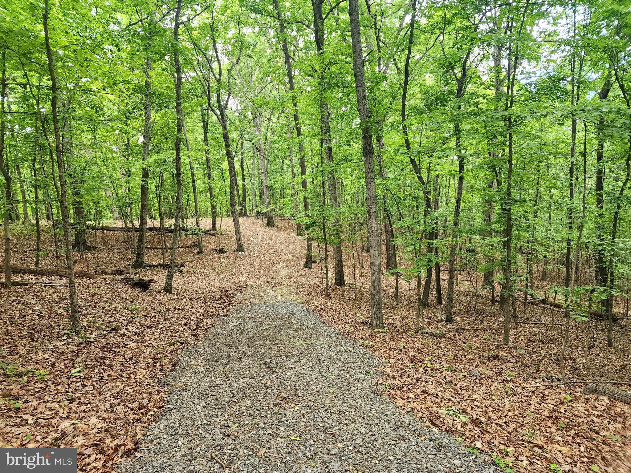 Driveway continues down into lot