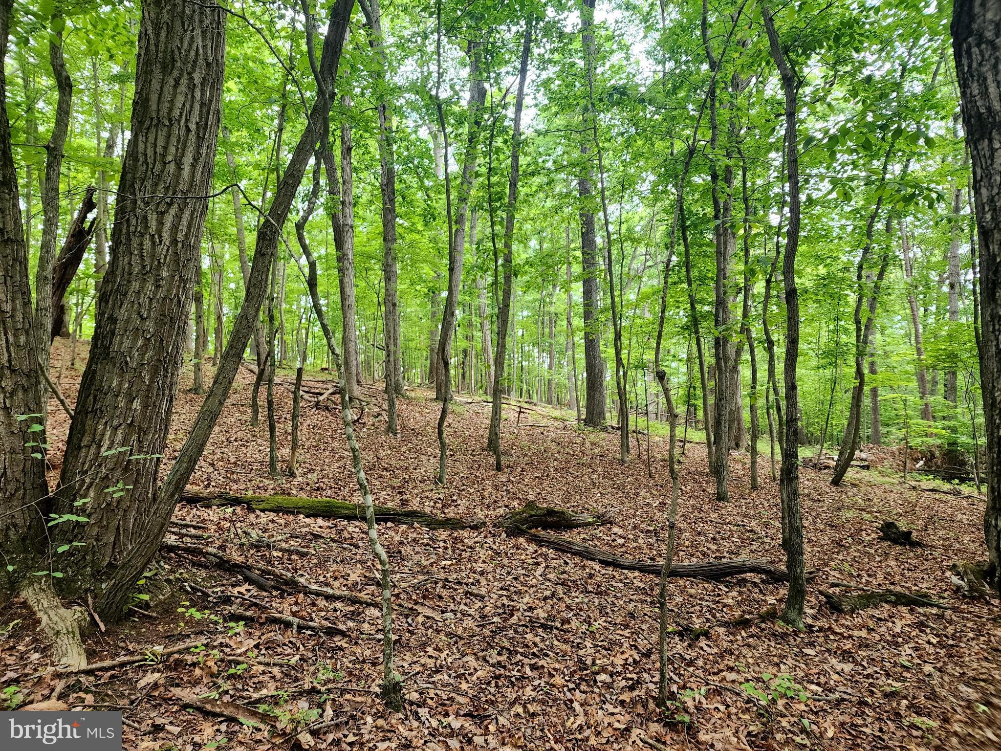 View of the area