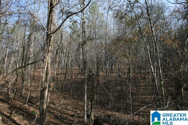 545 Chinnabee Road, Unit 24 ACRES Munford, AL 36268 - Photo 5 of 6