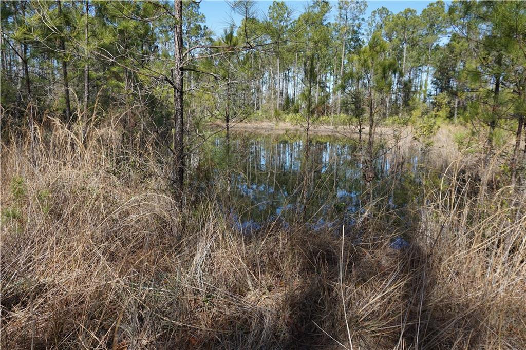 Lot 20 Mt Pleasant Road Hortense, GA 31543 - Photo 1 of 1 Gallery Image 1