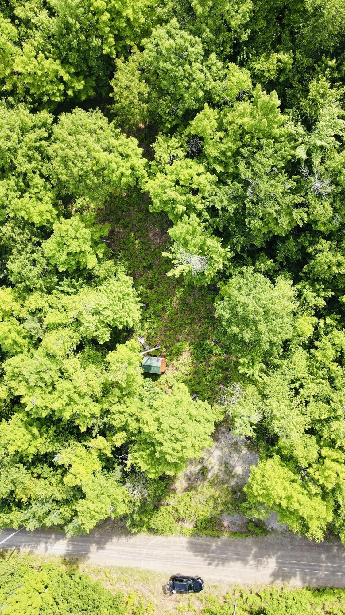 Lot #4 Mooseley Ridge Road Phillips, ME 04966 - Photo 18 of 20