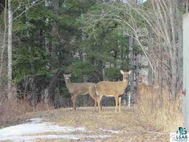 Xxxx Loveland Road Brule, WI 54820 - Photo 1 of 17 Gallery Image 1
