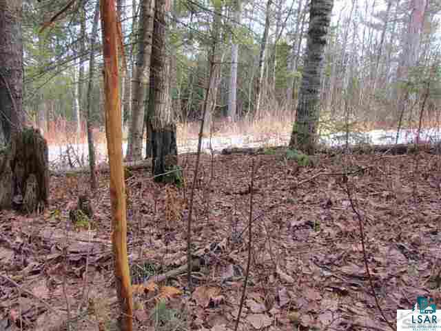 Xxxx Loveland Road Brule, WI 54820 - Photo 14 of 17 Gallery Image 14