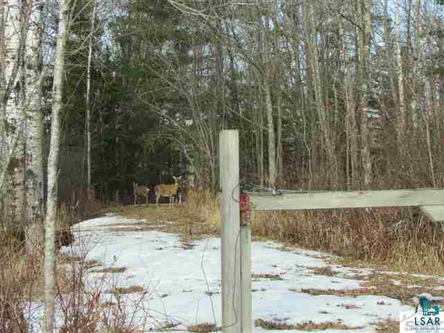 Xxxx Loveland Road Brule, WI 54820 - Photo 2 of 17 Gallery Image 2