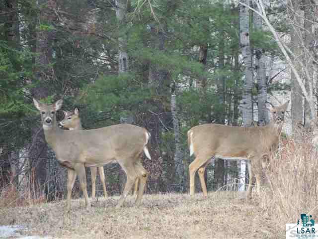 Xxxx Loveland Road Brule, WI 54820 - Photo 3 of 17 Gallery Image 3