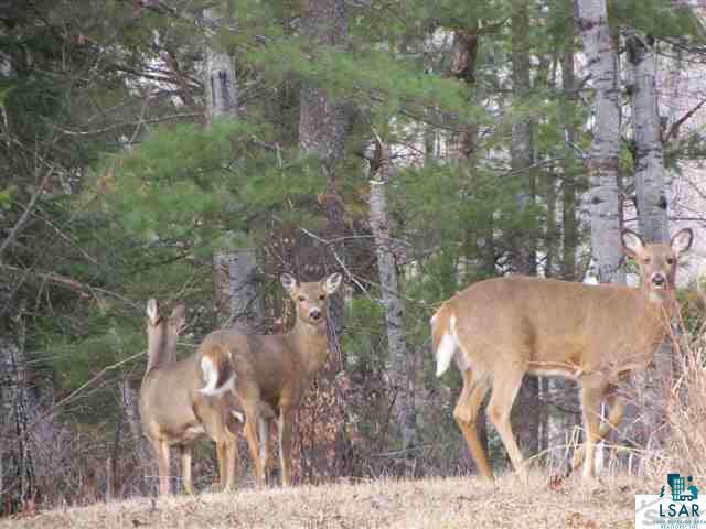 Xxxx Loveland Road Brule, WI 54820 - Photo 5 of 17 Gallery Image 5