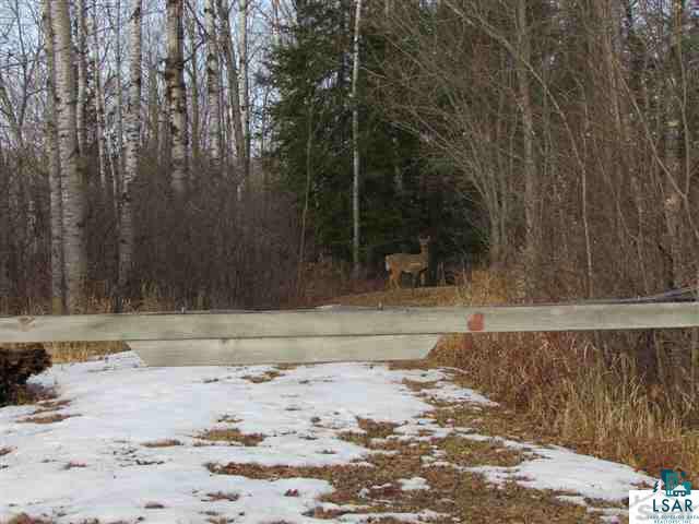 Xxxx Loveland Road Brule, WI 54820 - Photo 6 of 17 Gallery Image 6