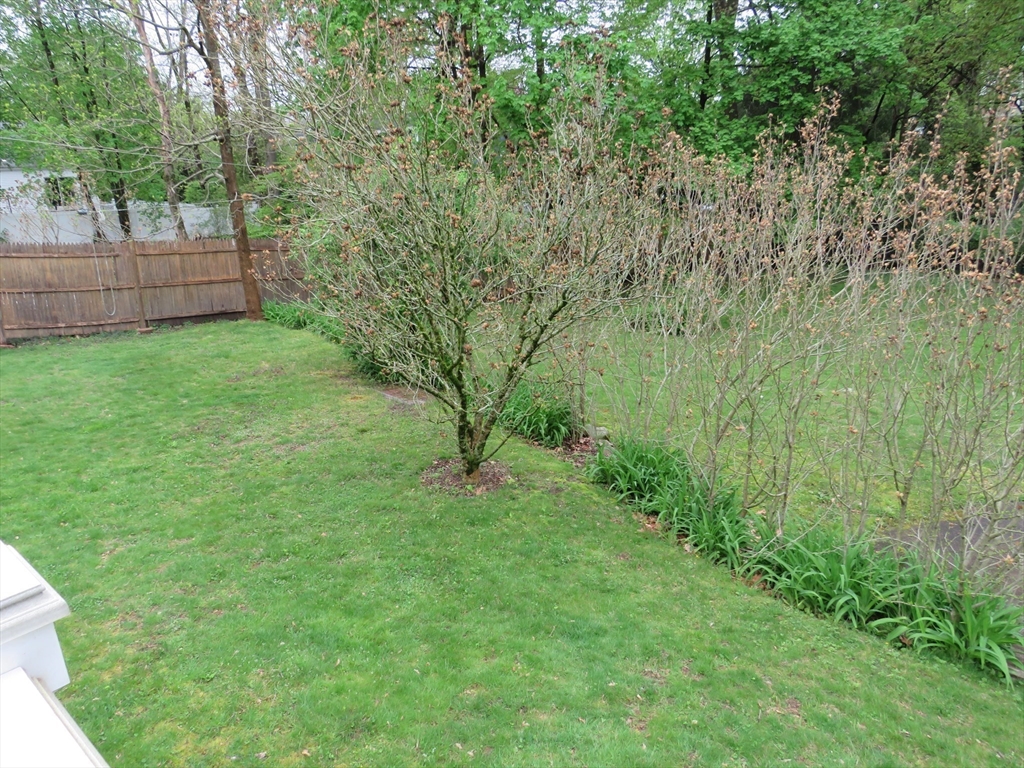 4 Marguerite Road Walpole, MA 02081 - Photo 29 of 30 Gallery Image 29