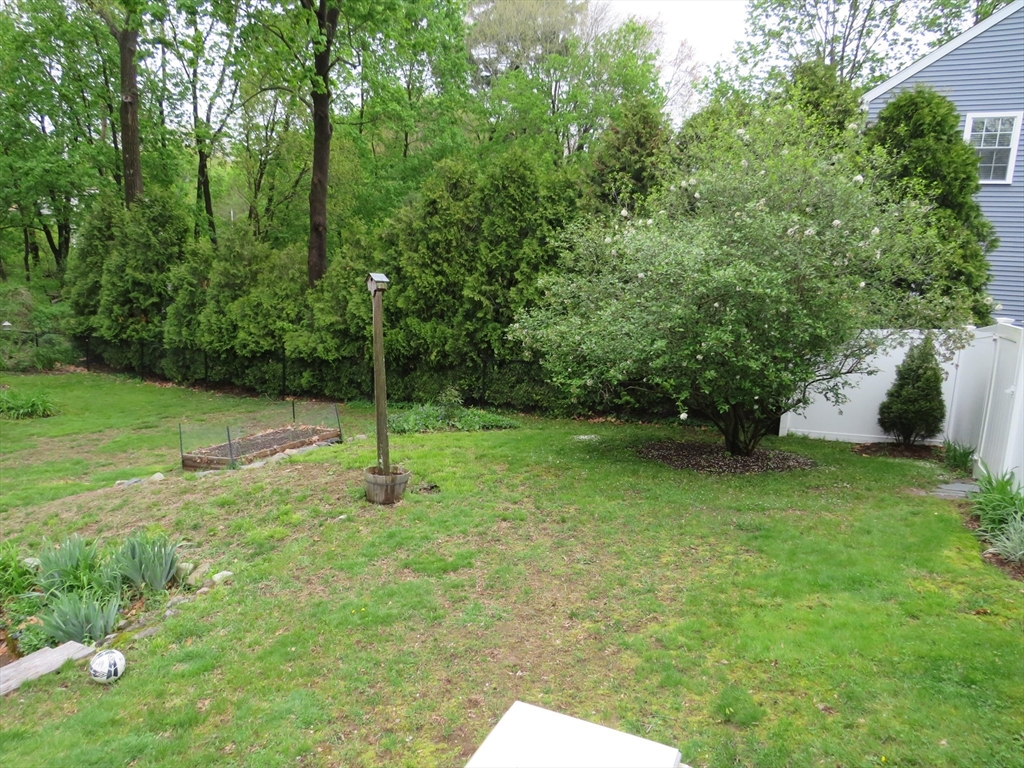 4 Marguerite Road Walpole, MA 02081 - Photo 30 of 30 Gallery Image 30