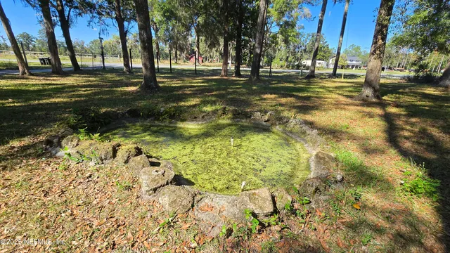 a view of road with large trees
