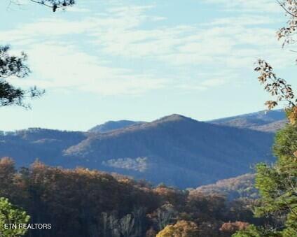 4572 Wilderness Plateau Pigeon Forge, TN 37863 - Photo 2 of 32 4572 WP View 2