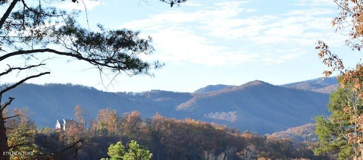 4572 Wilderness Plateau Pigeon Forge, TN 37863 - Photo 31 of 32 a5111080-72d6-455f-9da0-8dc00977d33c