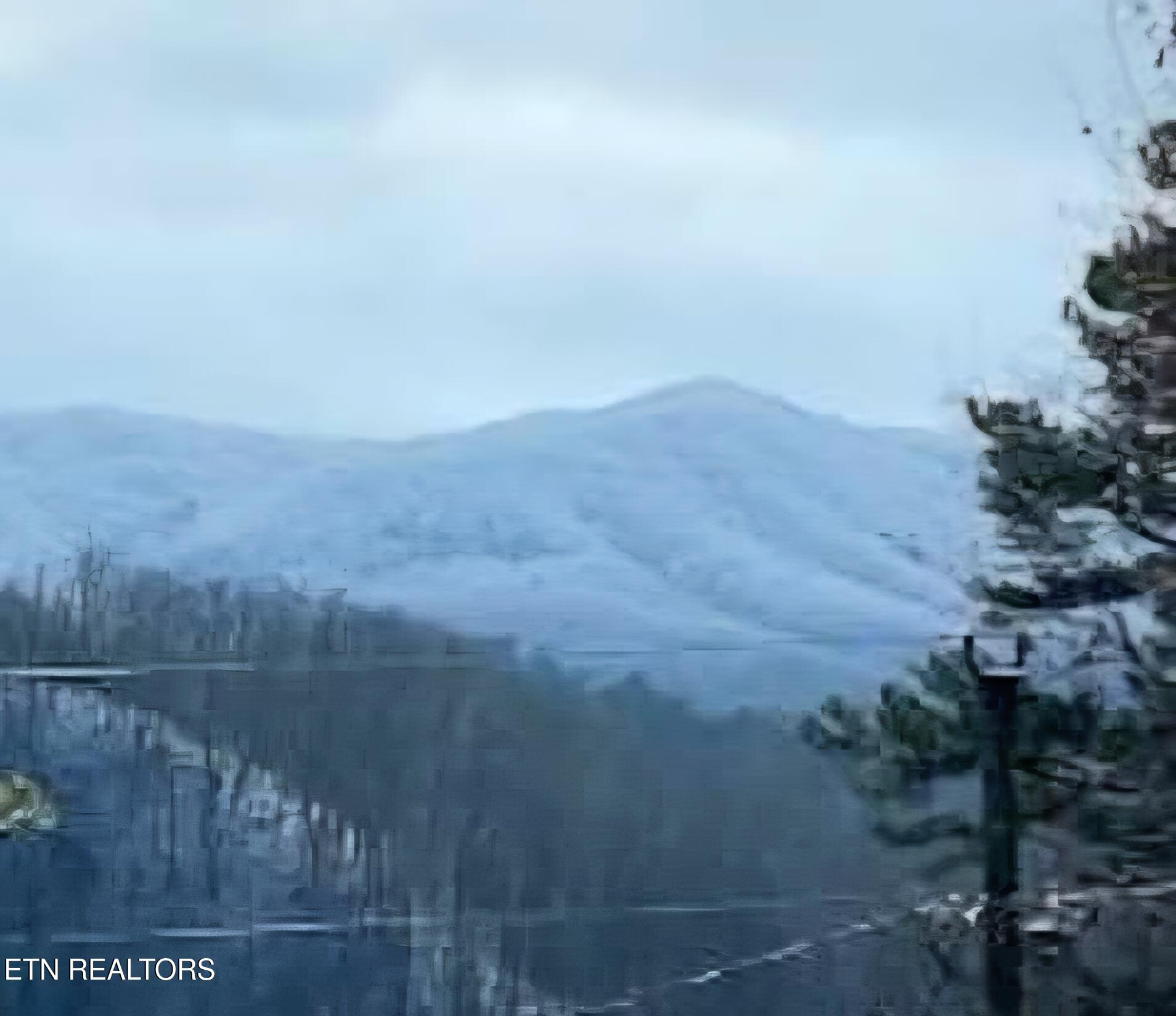 4572 Wilderness Plateau Pigeon Forge, TN 37863 - Photo 4 of 32 4572 WP Winter