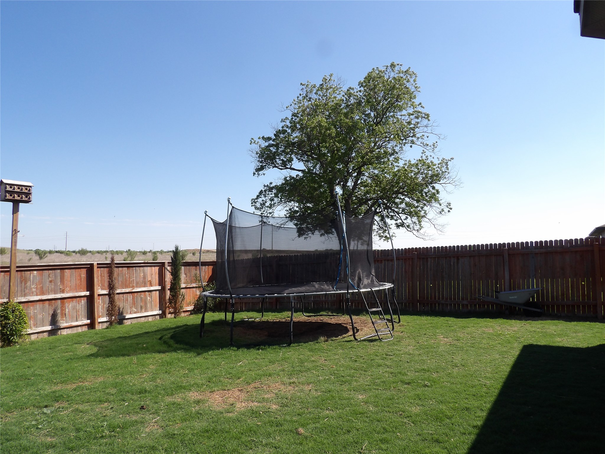 930 Pumpkin Ridge New Braunfels, TX 78130 - Photo 29 of 32 Yard