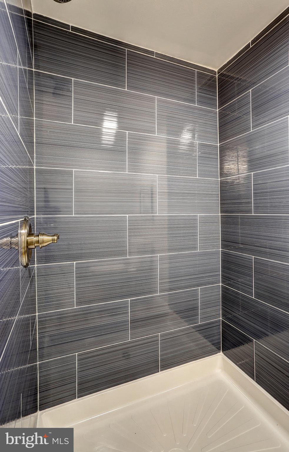 13649 Highland Road Clarksville, MD 21029 - Photo 35 of 56 LOWER LEVEL NEW SHOWER!