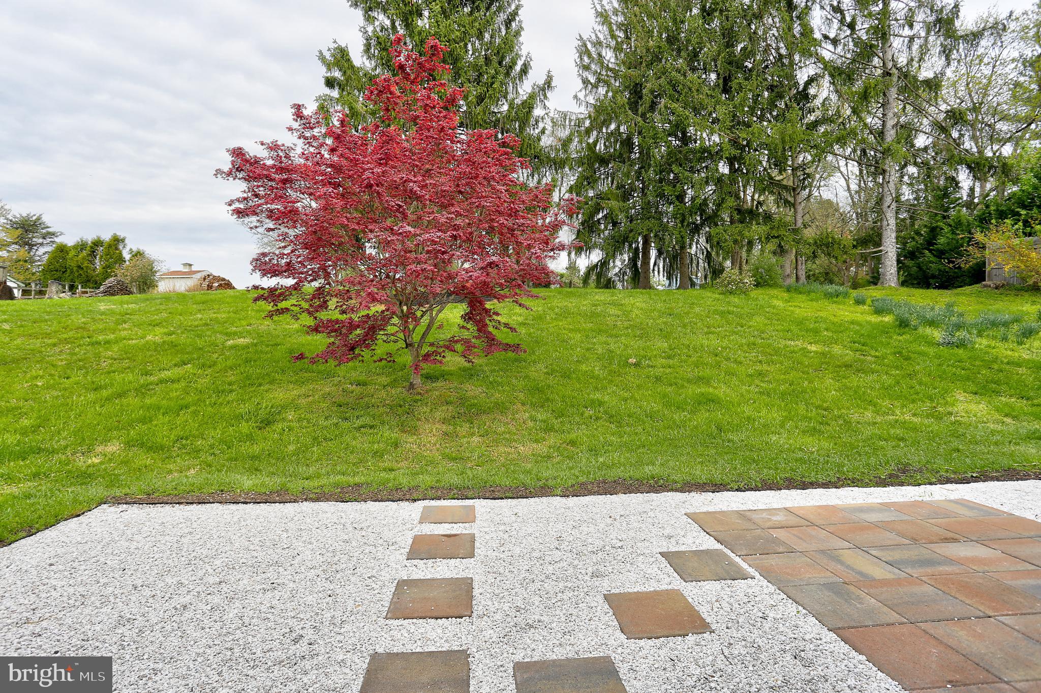 13649 Highland Road Clarksville, MD 21029 - Photo 45 of 56 BACKYARD VIEWS