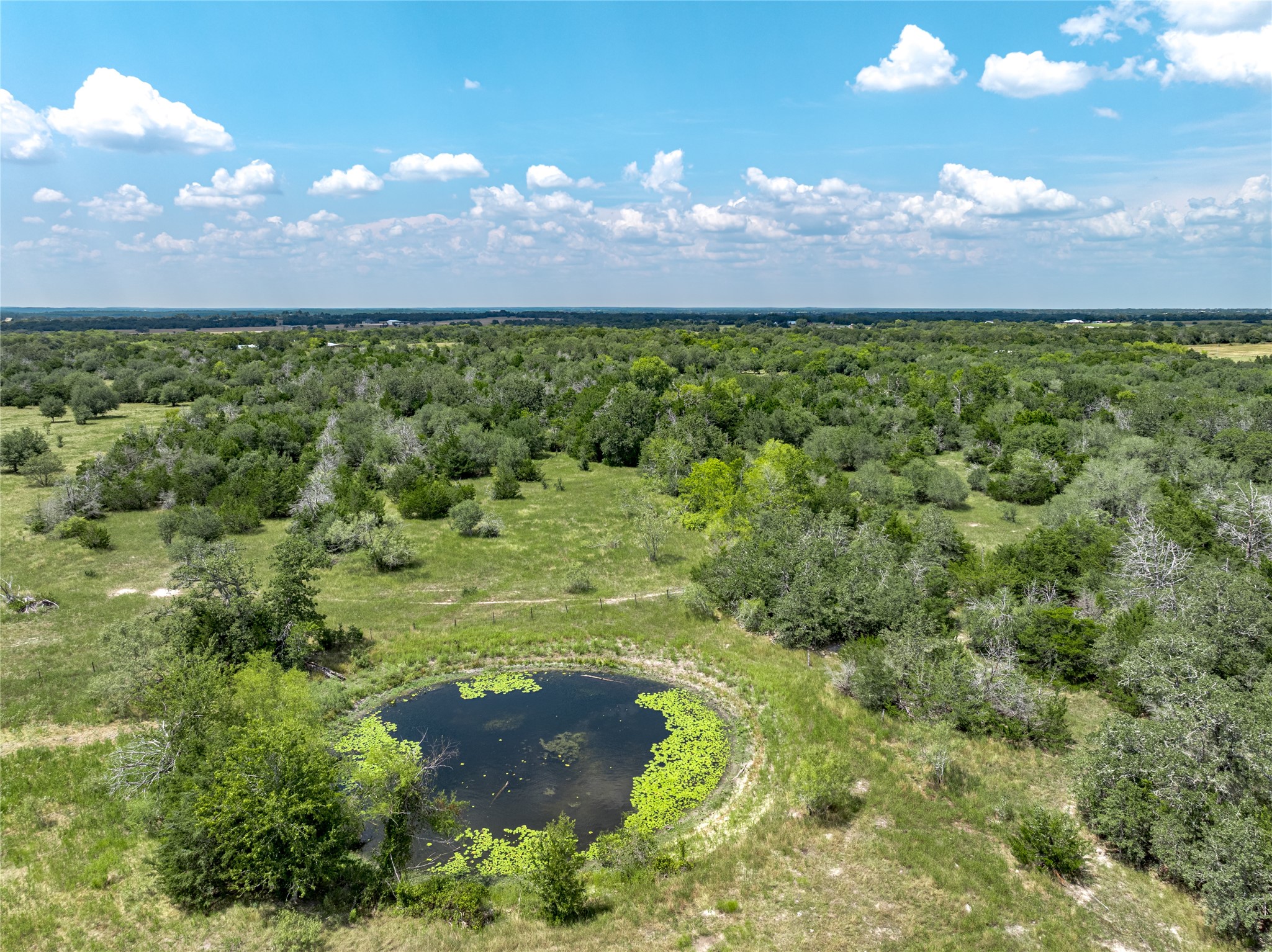 10842 Rauch Road Ledbetter, TX 78946 - Photo 2 of 24