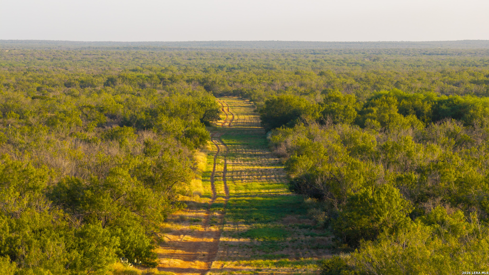 1909 Hubbard Road Cotulla, TX 78014 - Photo 47 of 50 Gallery Image 47