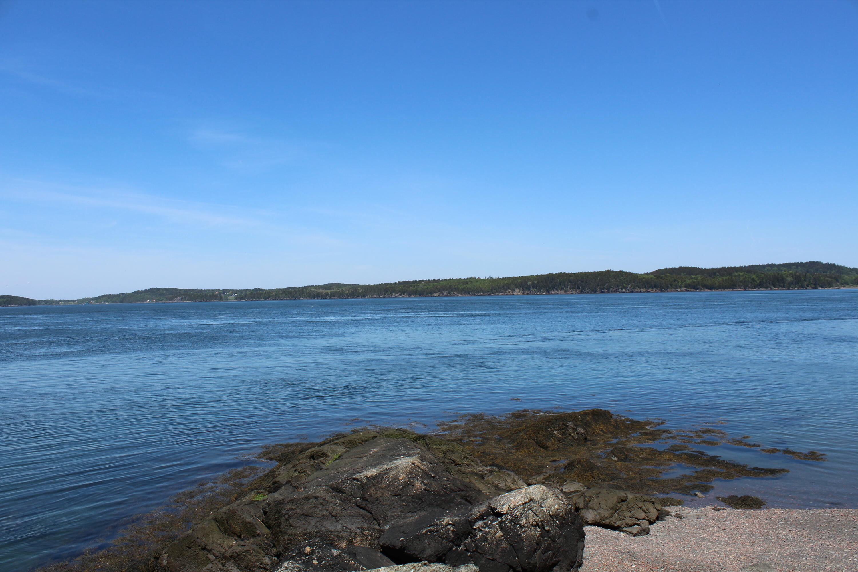 45 Kendall Head Road Eastport, ME 04631 - Photo 75 of 117 IMG_7046