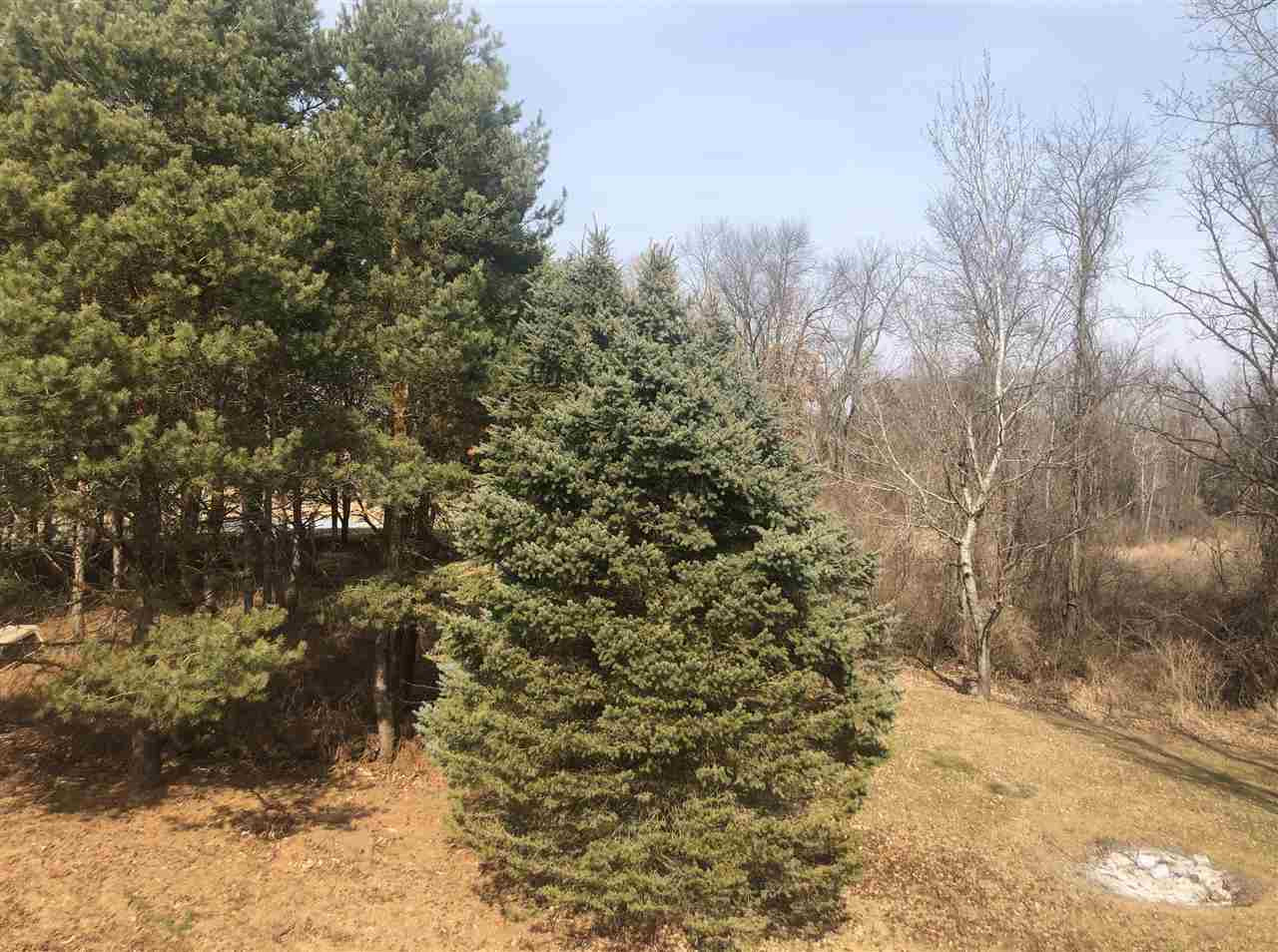 755 Albion Road Albion, MI 49224 - Photo 3 of 18 Photo 3