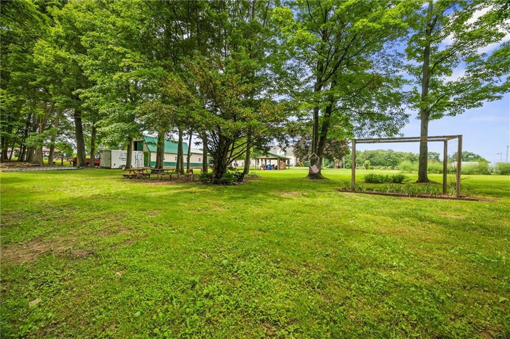 500 Kinsman Road Jamestown, PA 16134 - Photo 29 of 43 a view of a trees in front of a big yard