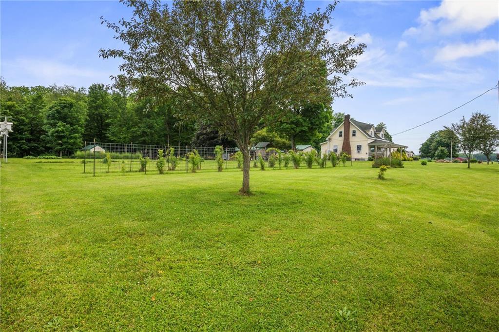 500 Kinsman Road Jamestown, PA 16134 - Photo 34 of 43 a grassy field with trees in the background