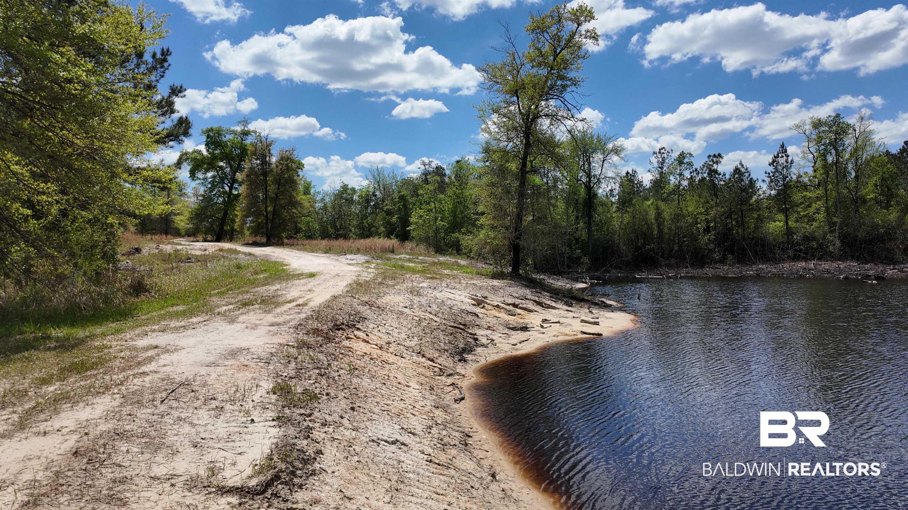 0 Powell Road Eight Mile, AL 36613 - Photo 44 of 57