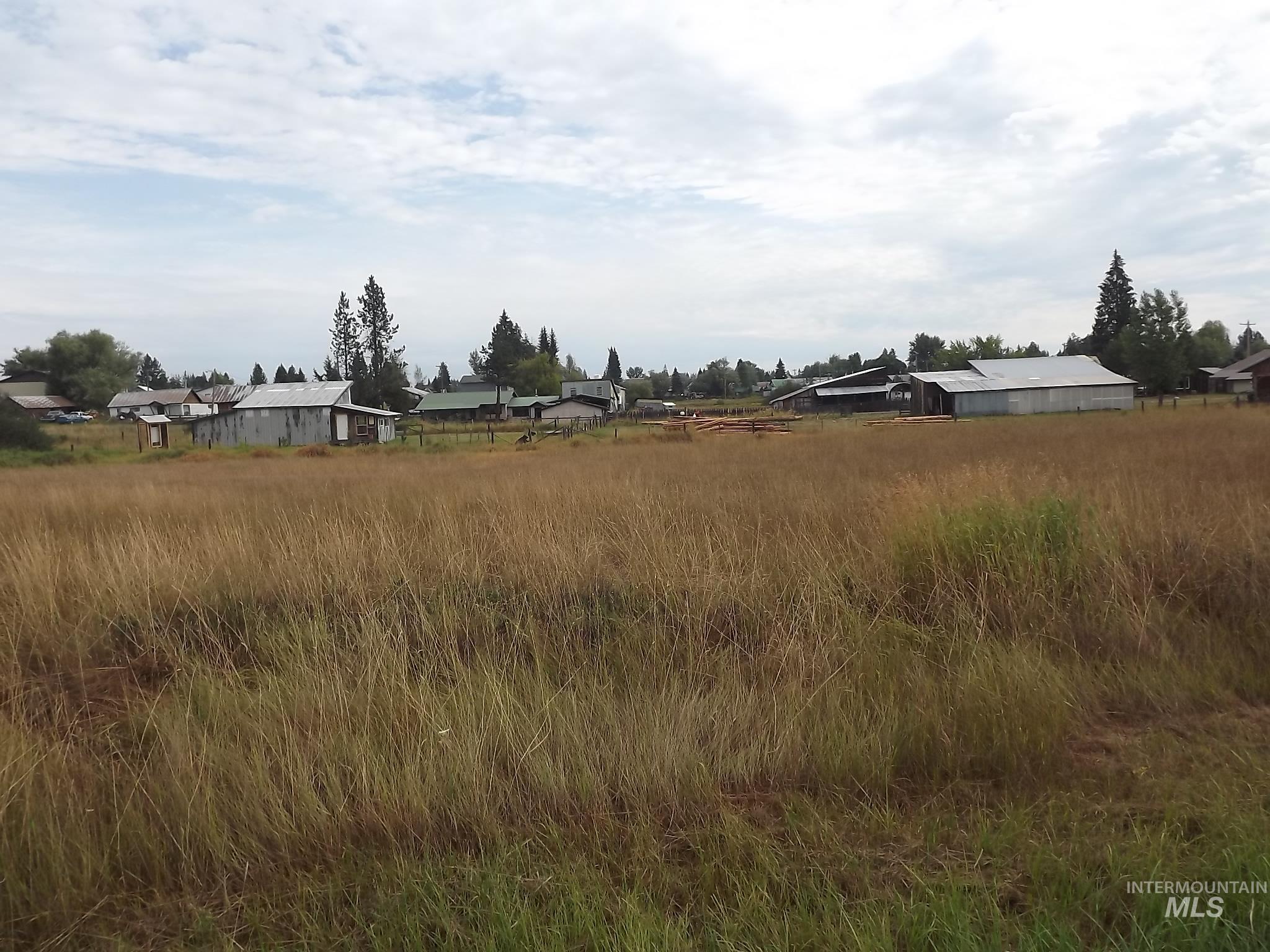 414 Wood Street Weippe, ID 83553 - Photo 3 of 46 View of undeveloped land featuring nearby suburban area