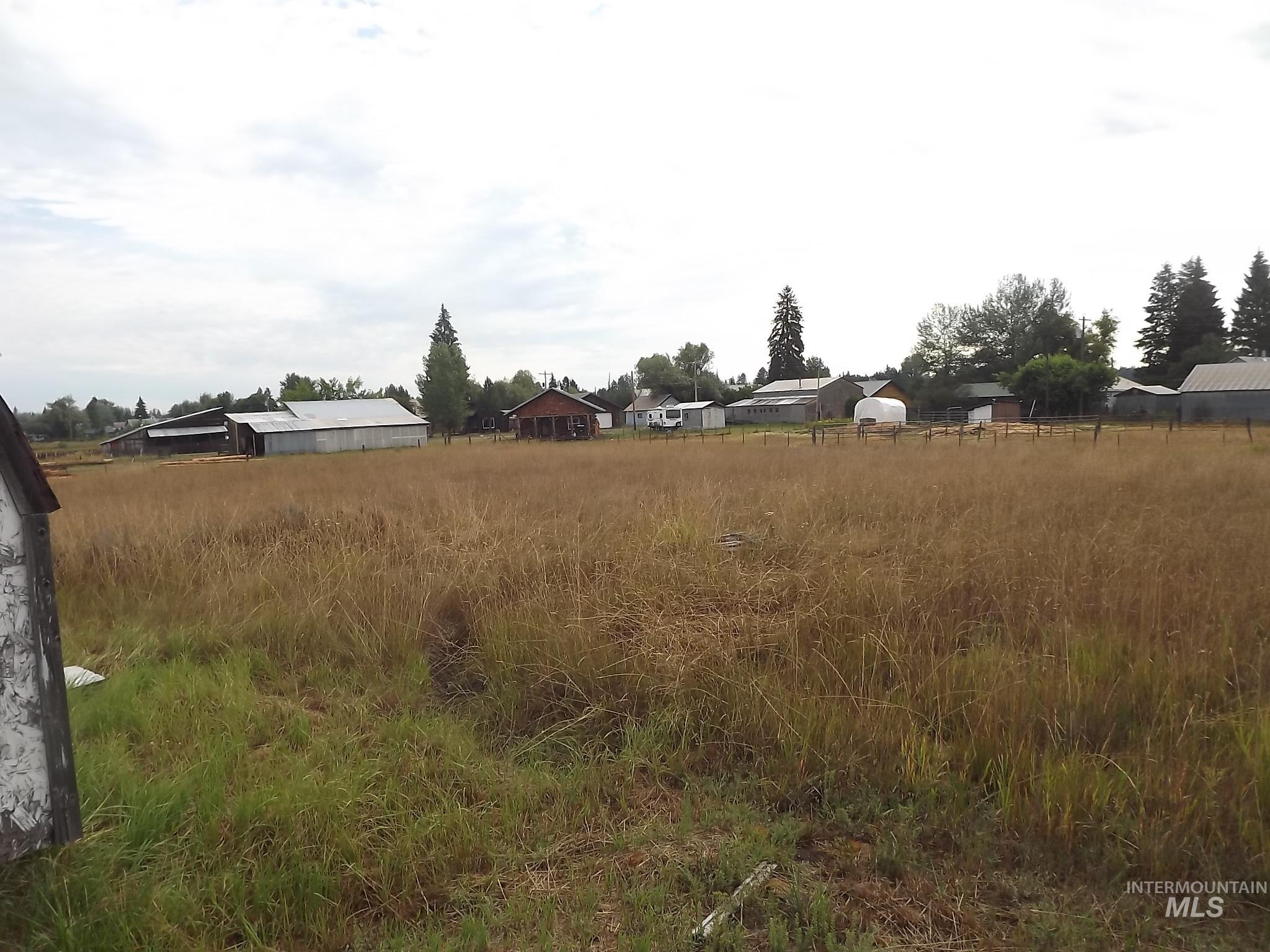 414 Wood Street Weippe, ID 83553 - Photo 5 of 46 View of undeveloped land with nearby suburban area