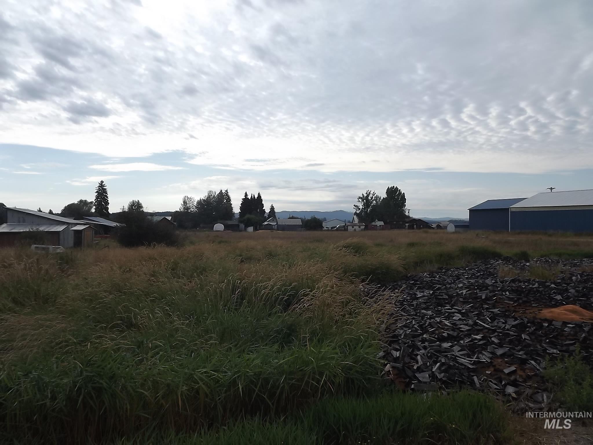 414 Wood Street Weippe, ID 83553 - Photo 7 of 46 View of yard