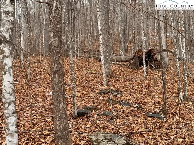 a view of outdoor space