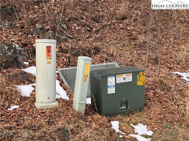 a view of backyard with tree