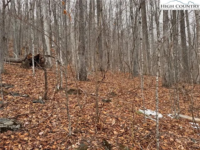 a view of a walk in a corridor