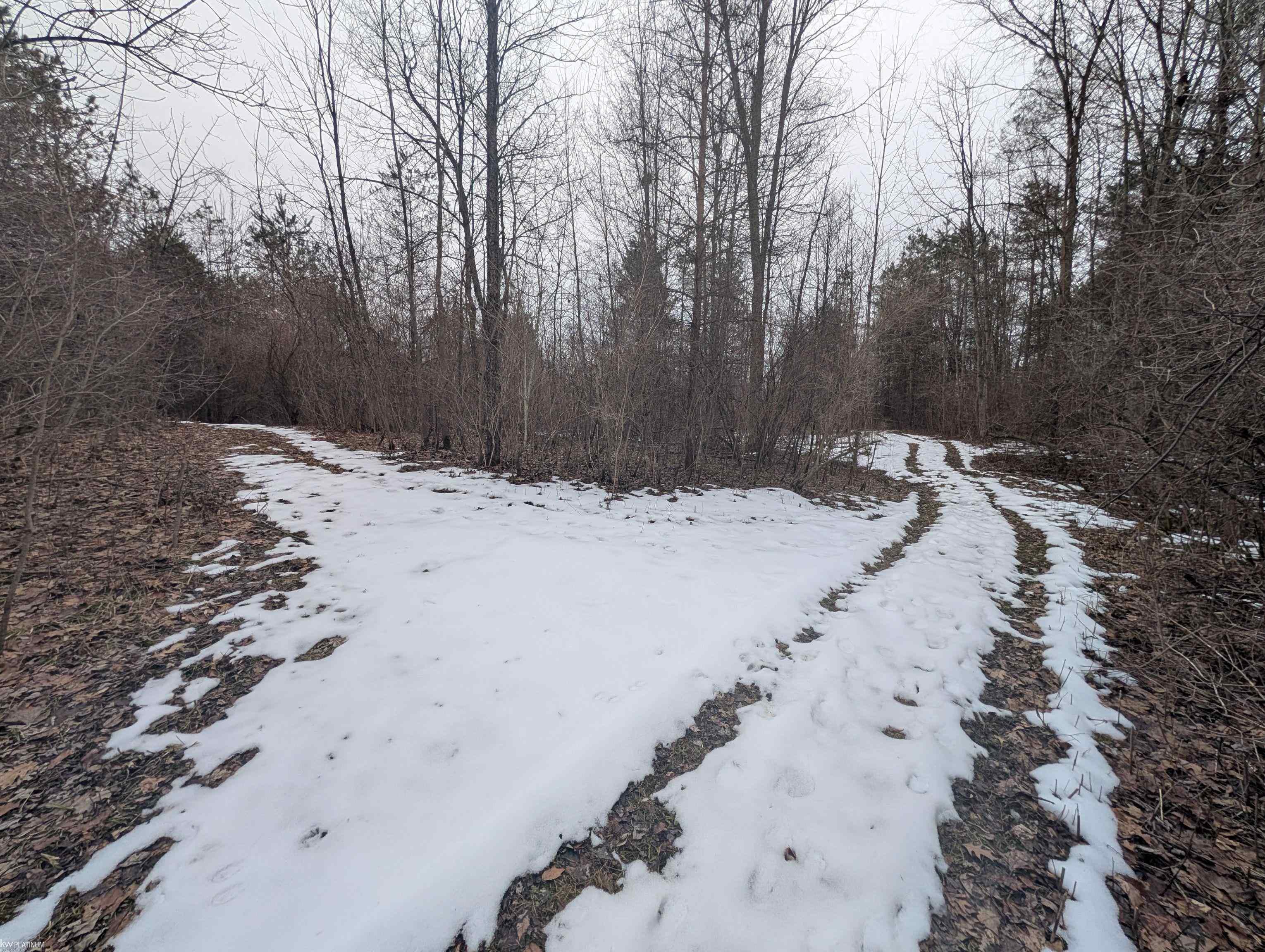 9072 Green Road Goodells, MI 48027 - Photo 67 of 73