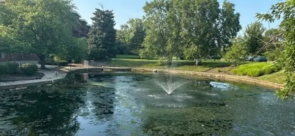 a view of cars parked in front of a building