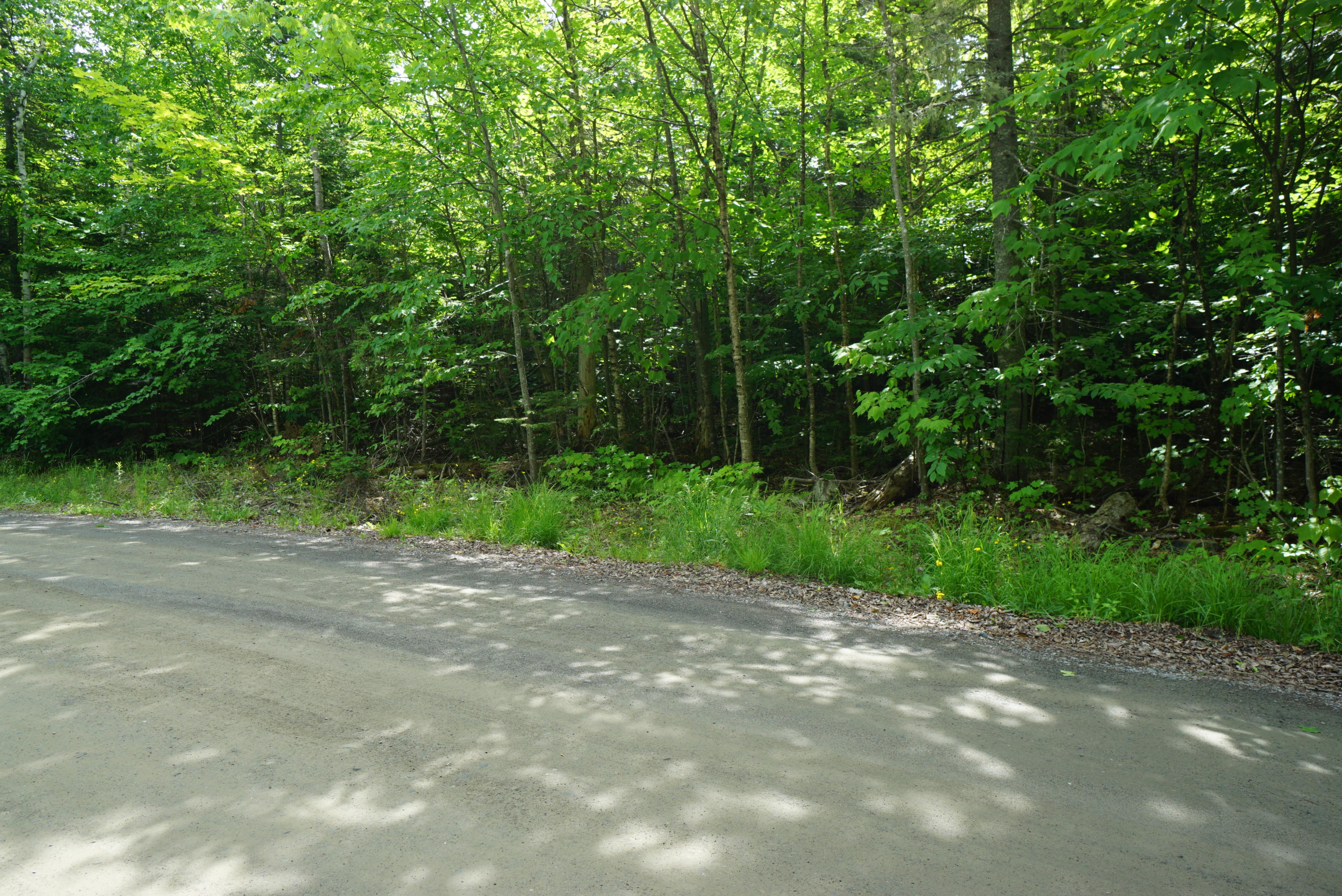 1 Rum Ridge Road Greenville, ME 04441 - Photo 2 of 3 778ADB18-B1C5-46F1-9F88-9A5351A93673