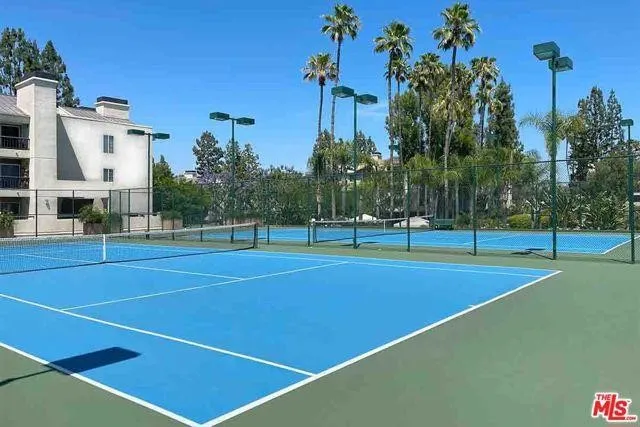 a view of a garden with palm trees