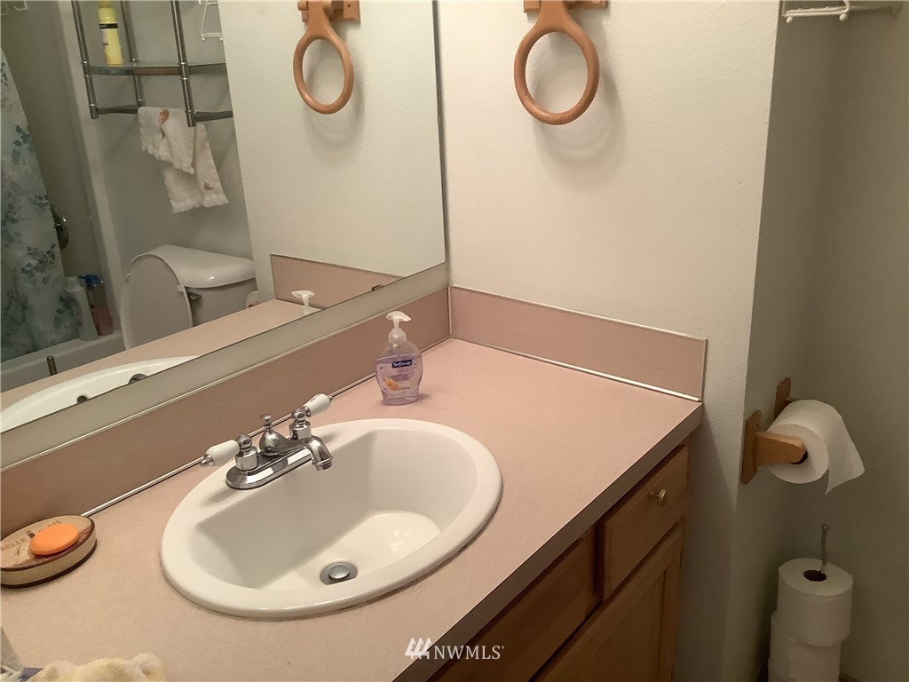 9323 180th Way Southwest Rochester, WA 98579 - Photo 24 of 33 a bathroom with a sink vanity and toilet
