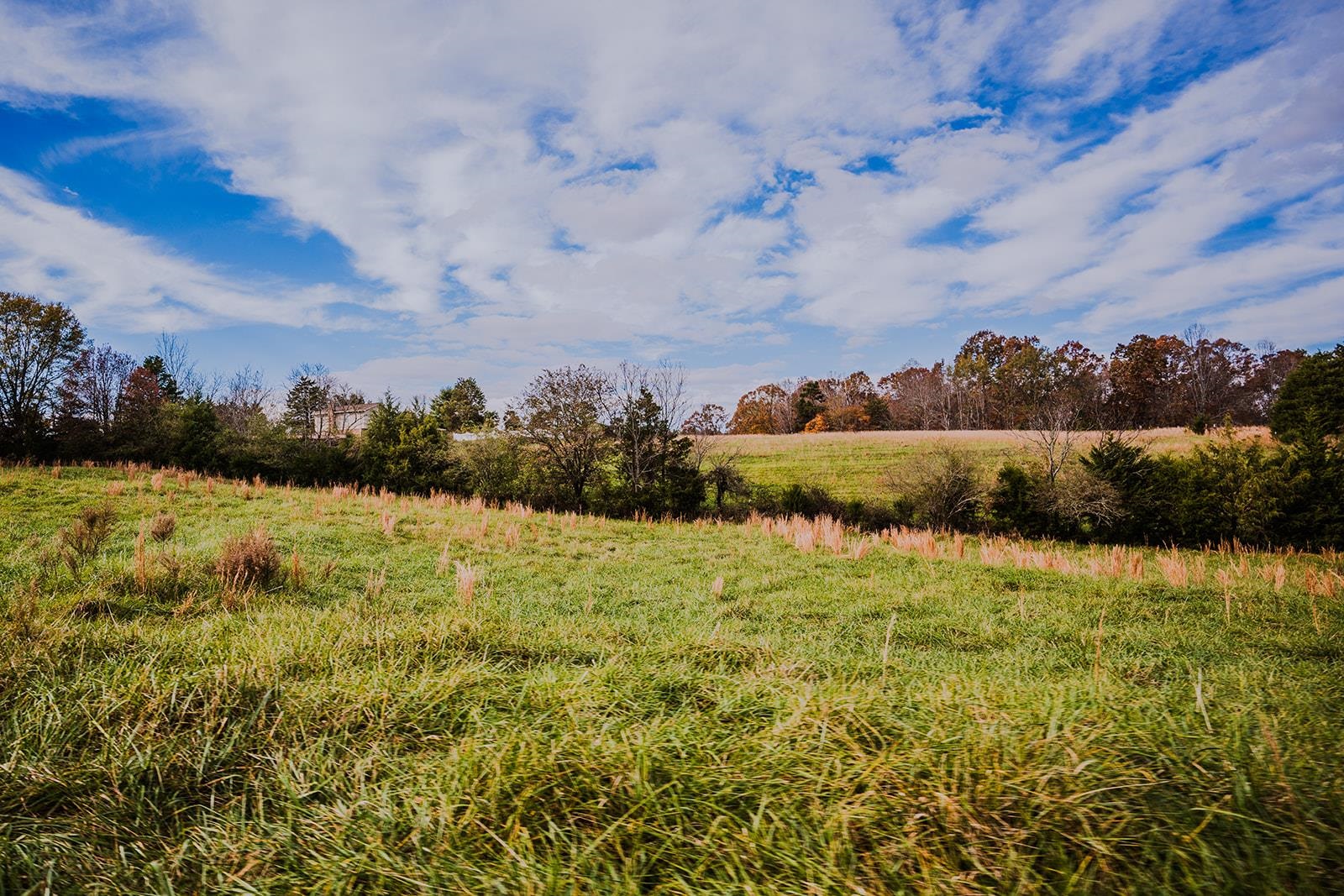 0 Perrine Drive Gaffney, SC 29341 - Photo 11 of 31