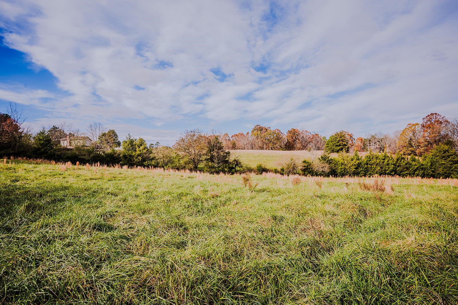 0 Perrine Drive Gaffney, SC 29341 - Photo 12 of 31